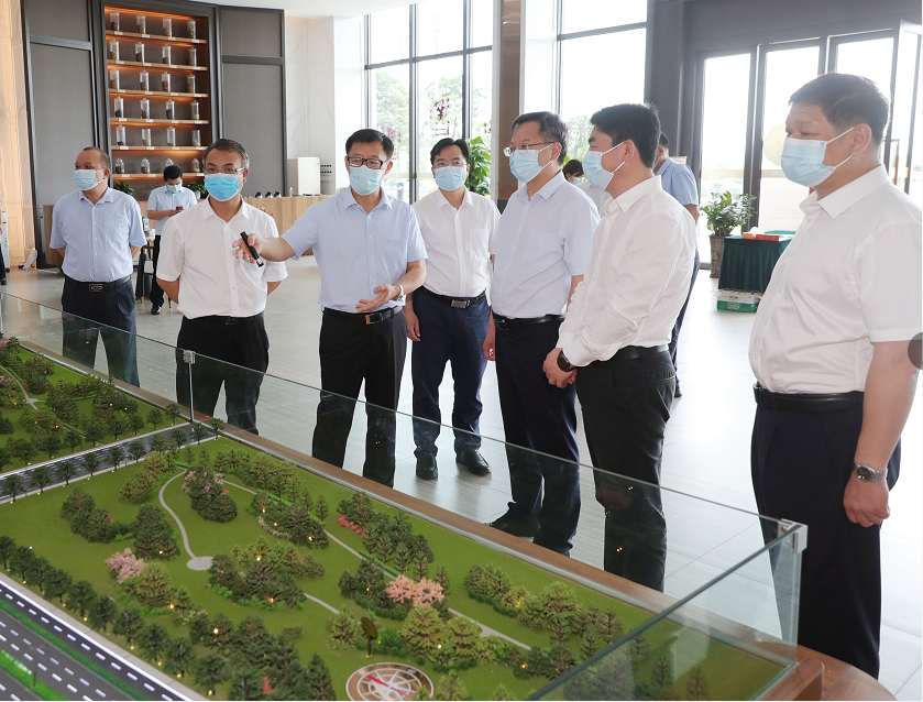 自治区党委常委、统战部部长王心富到玉林国际香料交易市场调研